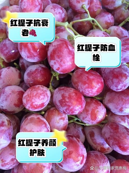 治痔疮可食红提果吗？