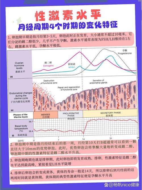 周期性特征