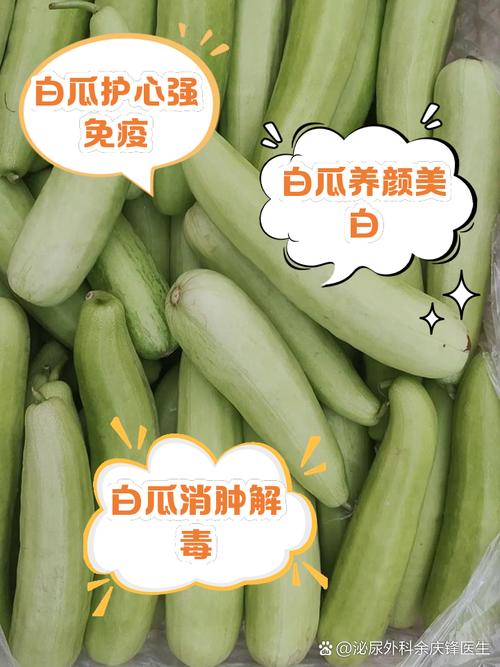 痔疮患者能否安全食用小白瓜？