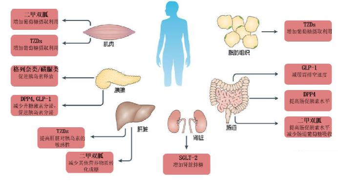 治疗机理