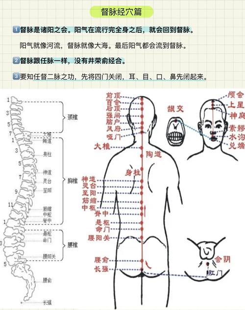 气虚血虚，痔疮何解？