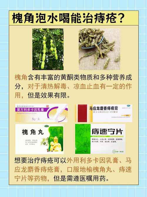 槐树豆真的能治痔疮吗？