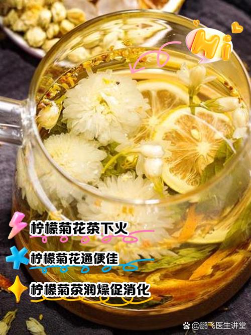 常喝菊花茶能否治愈痔疮？