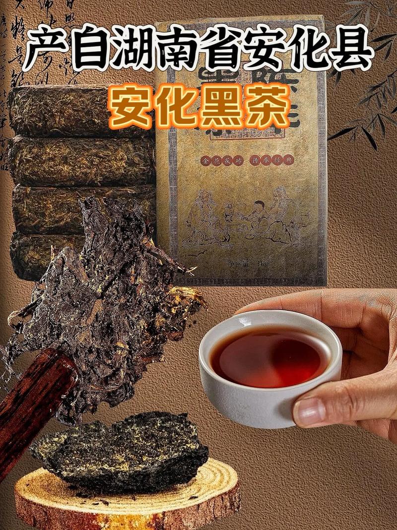 安化黑茶真的能治好痔疮吗？