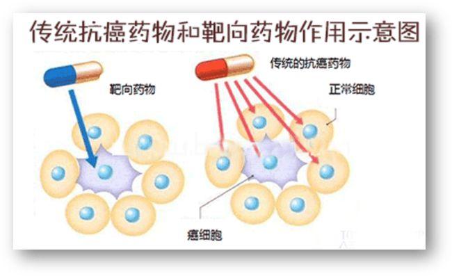 靶向治疗