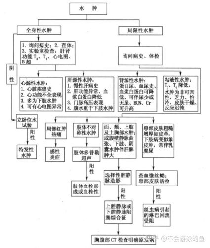 水肿原因