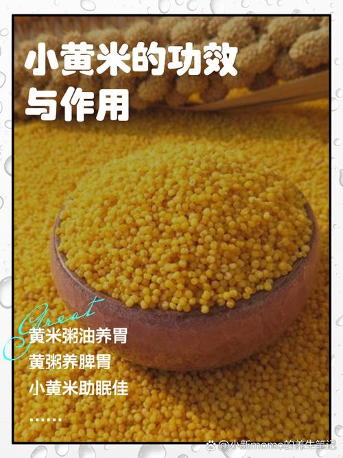 痔疮患者可以放心食用小黄米吗？