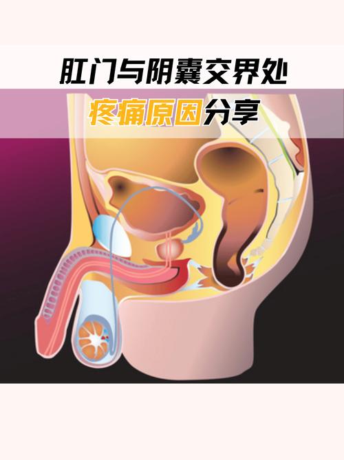 吸烟与痔疮之间有联系吗？