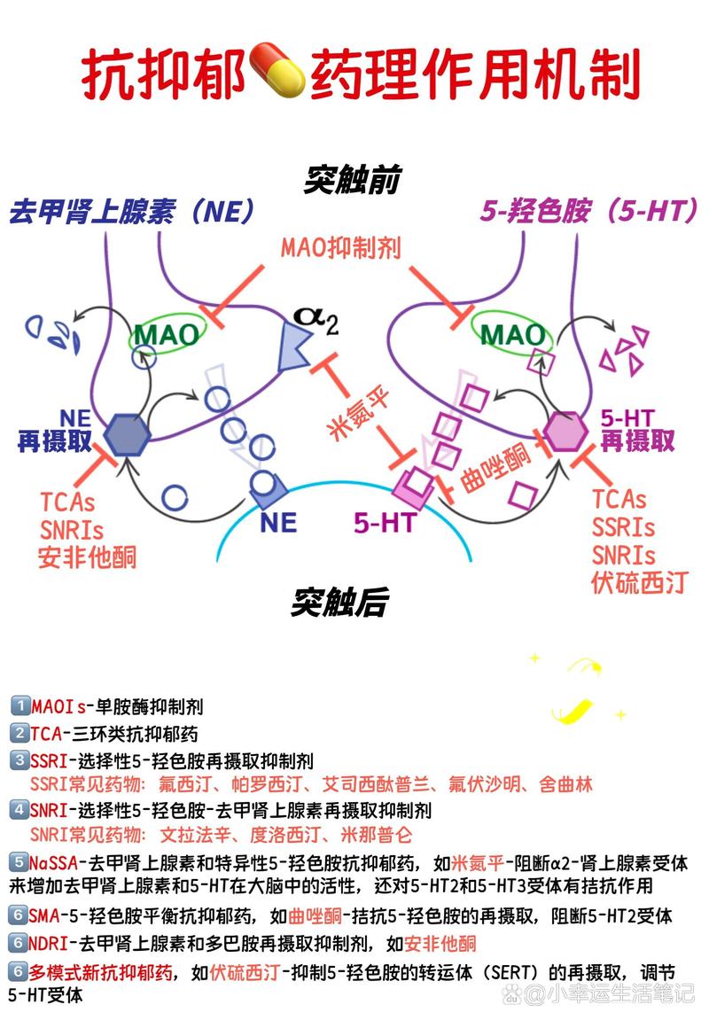 作用机理