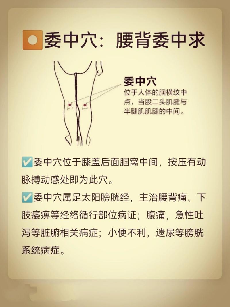 委中穴埋线